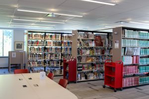 Three stacks in an academic library filled with books